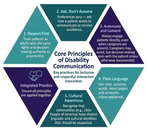 Core Principles of Disability Communication graphic